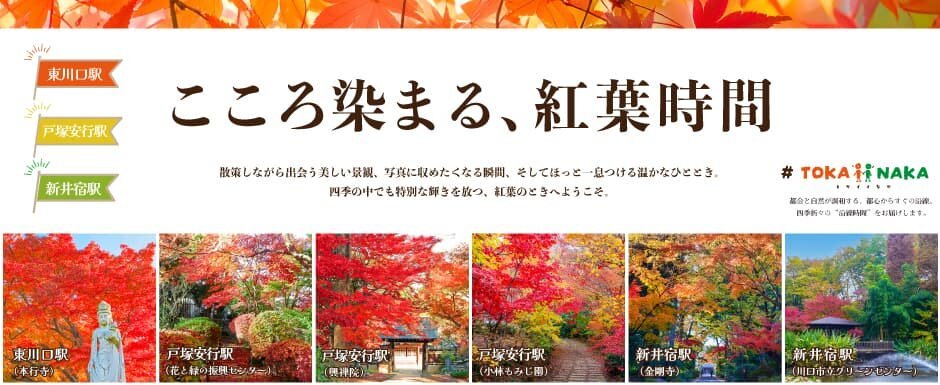 #TOKAiiNAKA ～ こころ染まる、紅葉時間