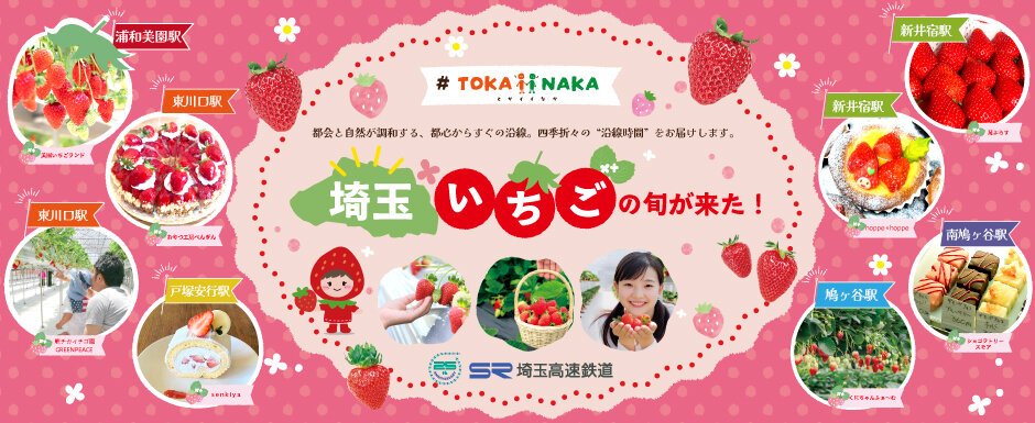 #TOKAiiNAKA 埼玉いちごの旬が来た!2026冬春