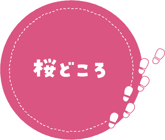 桜どころ